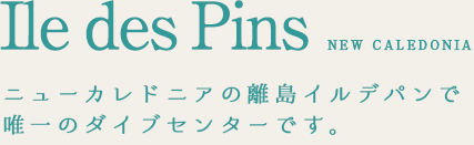 インターナショナルなダイバーが集う海の宝石箱