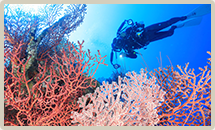 DIVING